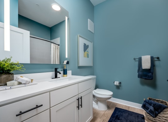 a bathroom with a blue wall and white cabinetsat Ironwood Flats, Brandon, 33511