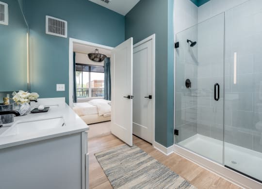 Bathroom at Ironwood Flats, Brandon