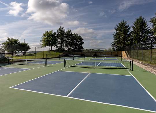 A tennis court with a net and trees in the background.