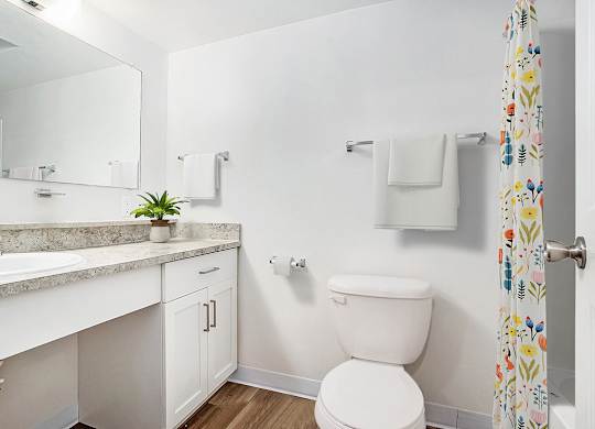 A white toilet sits next to a sink in a bathroom