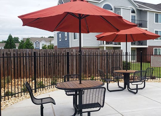 Grills and Tables at Limestone Creek Apartment Homes in Madison, AL
