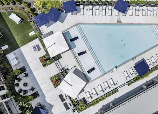 An aerial view of a pool surrounded by lounge chairs and umbrellas at Luxe 360 Apartment Complex in Midlothian Virginia
