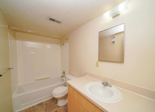Updated Bath Cabinetry and Flooring at Madeira Apartments in Kalamazoo, MI