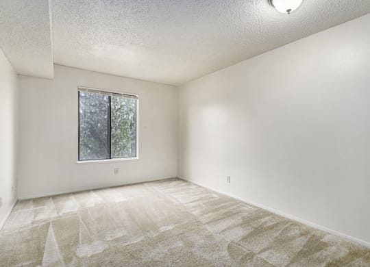 Spacious bedroom with a window at Madeira Apartments, Kalamazoo, 49001
