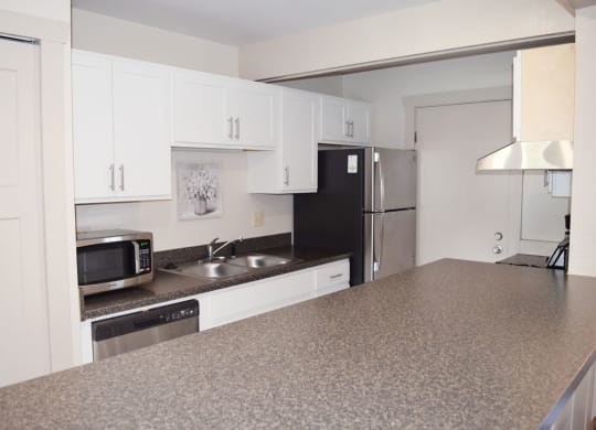 Access to community building with kitchen at Newport Village Apartments, Michigan, 49002