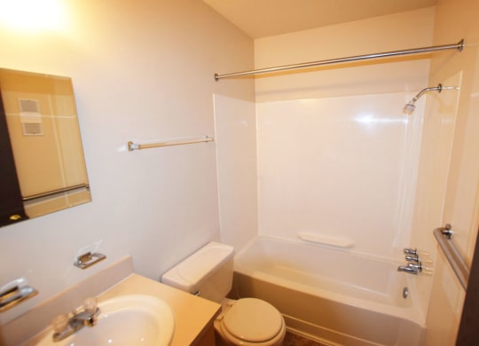 Shower and Tub Combination at Newport Village Apartments, Michigan