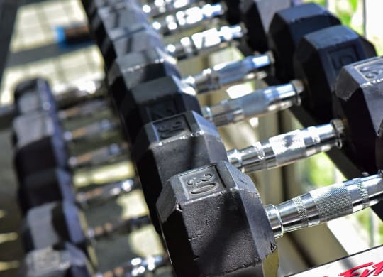 Free Weights at Northport Apartments, Macomb, 48044
