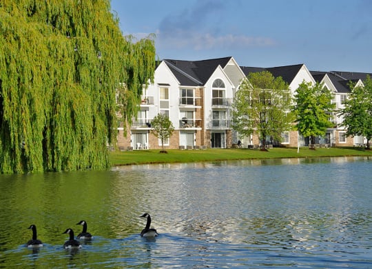 Lake Views at Northport Apartments, Macomb, MI, 48044