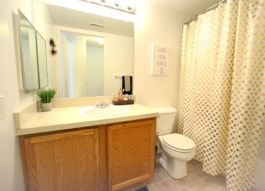 this is a photo of the bathroom in a 1 bedroom apartment at deer hill apartments in c at Northport Apartments, Michigan