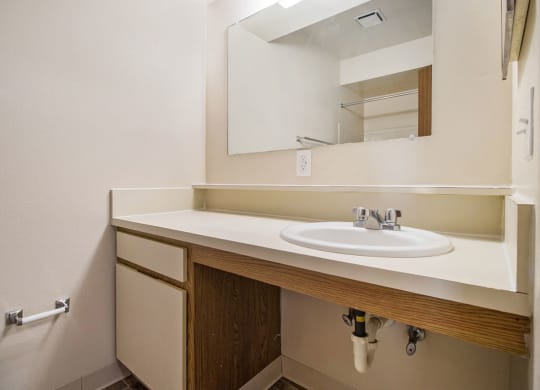 a bathroom with a sink and a mirror at Pine Knoll Apartments, Battle Creek, MI