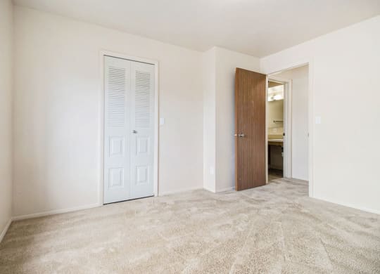 Bedroom with walk in closet at Pine Knoll Apartments, Battle Creek, MI