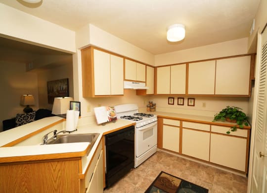 Efficient Appliances In Kitchen at Pine Knoll Apartments, Battle Creek, MI
