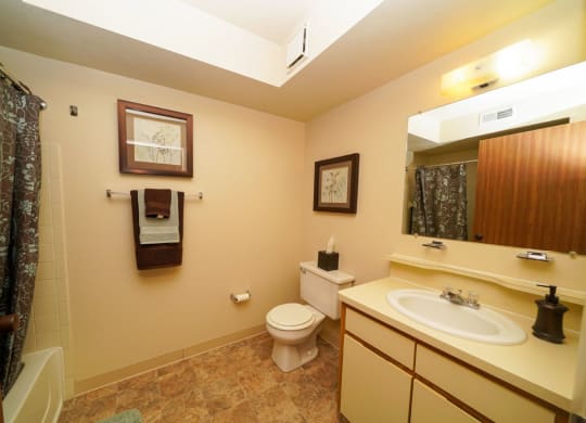Bathroom With Adequate Storage at Pine Knoll Apartments, Michigan
