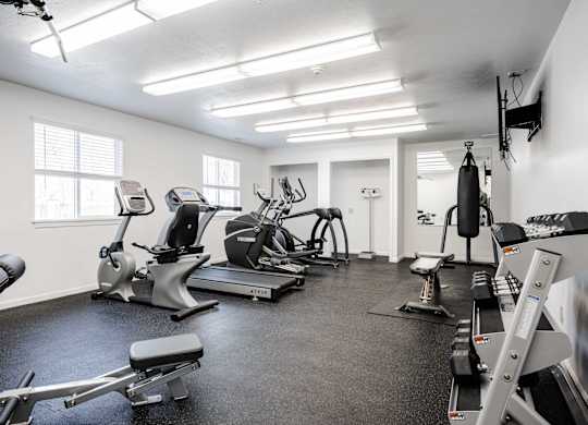 A spacious gym with a variety of equipment including treadmills, stationary bikes, and weight machines at Polo Run Apartments, Greenwood, Indiana
