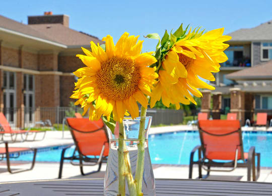 Swimming Pool and Sundeck at Prairie Lakes Apartments, Illinois, 61615