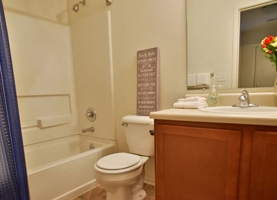 Bathroom at Prairie Lakes Apartments, Peoria, 61615