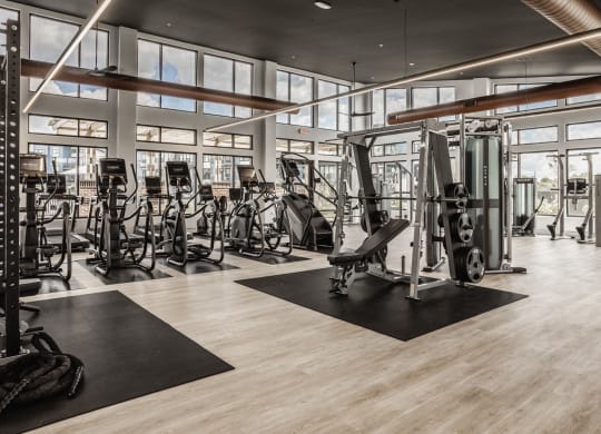 Fitness Center With Modern Equipment at Upper Vue Flats, Dublin, OH, Ohio, 43016