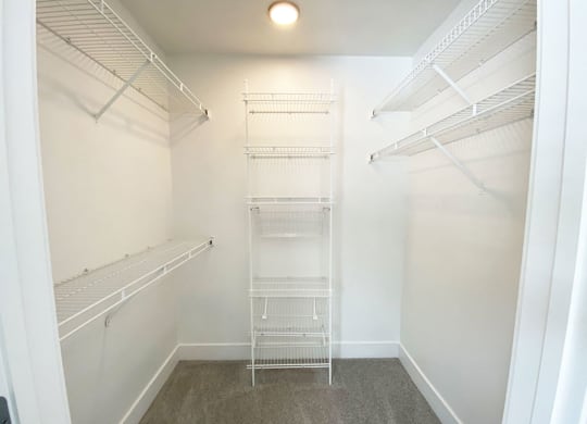 Huge Walk-In Closet at Green Ridge Apartments in Grand Rapids, MI