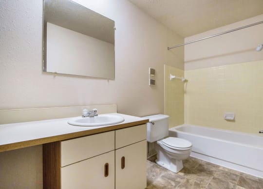 Full Bathroom with Tub at Seville Apartments, Michigan, 49009
