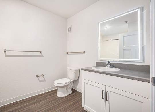 a bathroom with a sink toilet and a mirror  at Signature Pointe Apartment Homes, Athens, 35611
