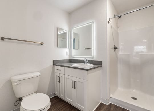 2nd bathroom with a walk in shower and wood floors  at Signature Pointe Apartment Homes, Athens, AL, 35611