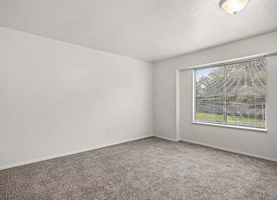 A room with a window and carpeted floor.