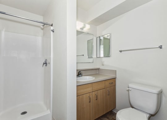 Ensuite with Walk In Shower at Stoney Pointe Apartment Homes in Wichita, KS