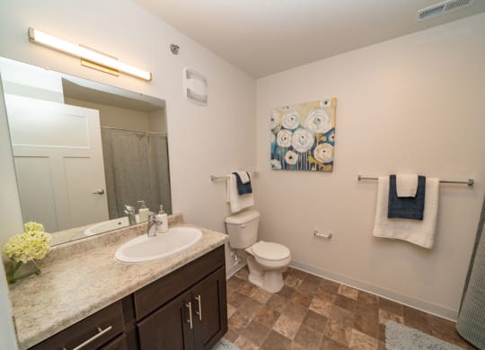 Luxurious Bathrooms at Strathmore Apartment Homes, West Des Moines, 50266
