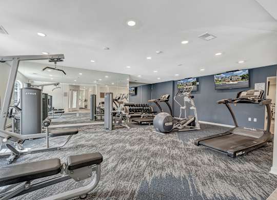 A spacious gym with a variety of equipment including treadmills, weight machines, and a rowing machine. at Sunscape Apartments, Virginia