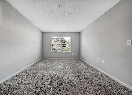 A spacious room with grey carpeting and a window showing a view of trees and a building. at Sunscape Apartments, Virginia