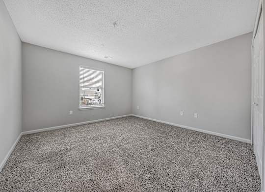 A room with grey carpet and a window with blinds. at Sunscape Apartments, Roanoke