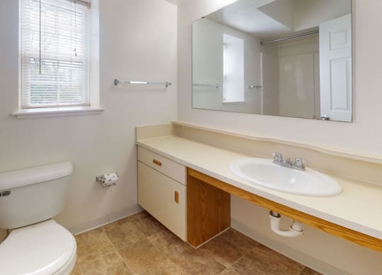 Bathroom with Natural Light at Tall Oaks Apartment Homes, Kalamazoo, 49009