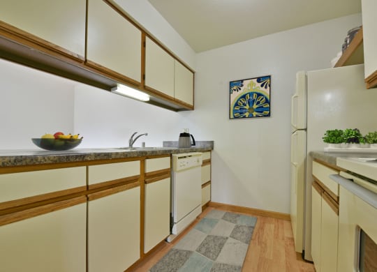 Model Kitchen of One Bedroom Mulberry Apartment at Tanglewood Apartments, Wisconsin
