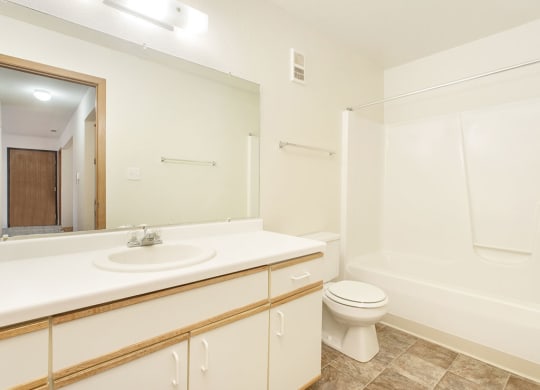 a bathroom with a sink toilet and a mirror at Tanglewood Apartments, Oak Creek, 53154