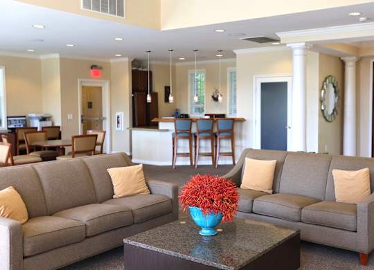 A living room with a grey couch and a blue vase with red flowers on a coffee table.