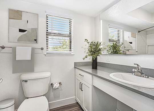 bathroom with a window at The Crossings Apartments, Michigan, 49508