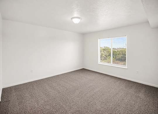Empty bedroom with carpeted floor and a window showing a view of trees at Tracy Creek Apartments, Ohio