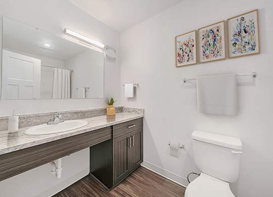 A main bathroom with a toilet, sink, mirror, and pictures on the wall at Trade Winds Apartment Homes, Elkhorn, Nebraska