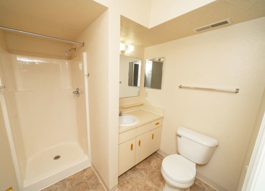 Second Bath with Shower at Trillium Pointe Apartment Homes in Jackson, MI