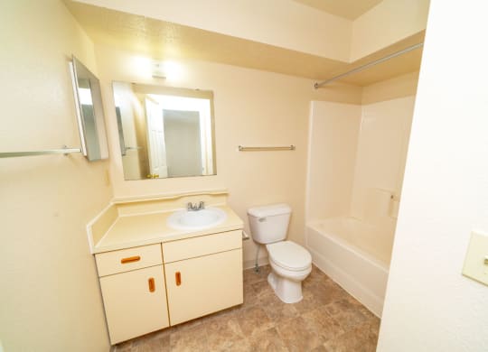 Main, Full Bathroom at Trillium Pointe Apartment Homes in Jackson, MI