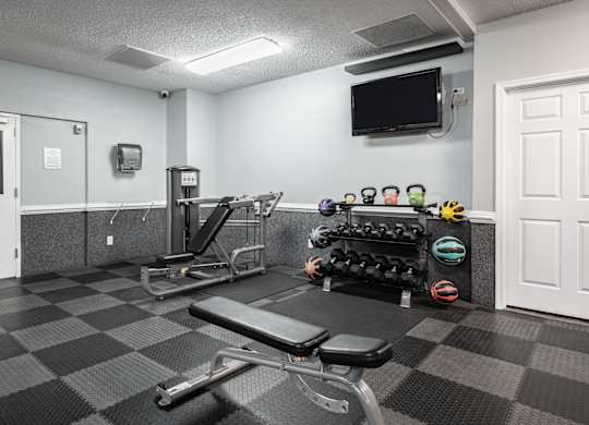 A gym with a bench, weights, and a television at WaterFront Apartments, Virginia Beach, 23453