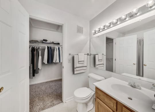 a bathroom with a toilet sink and mirror and a closet at WaterFront Apartments, Virginia Beach, VA, 23453