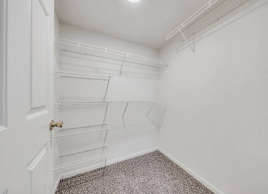 A white closet with shelves and a carpeted floor at WaterFront Apartments, Virginia Beach, 23453