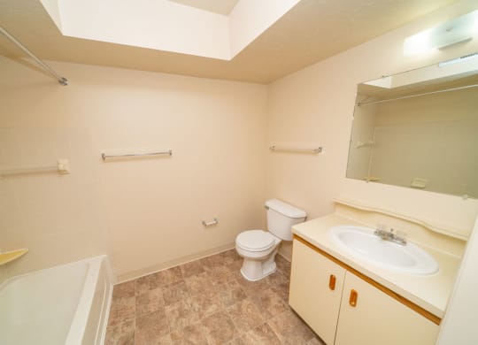 Large Handicap Accessible Bathroom at Windmill Lakes Apartments, Holland, 49424