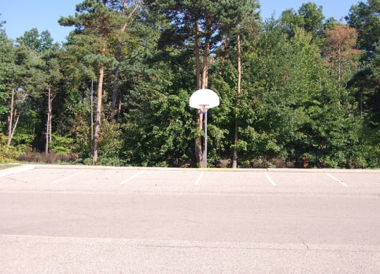 Outdoor Basketball Court at Windmill Lakes Apartments, Holland