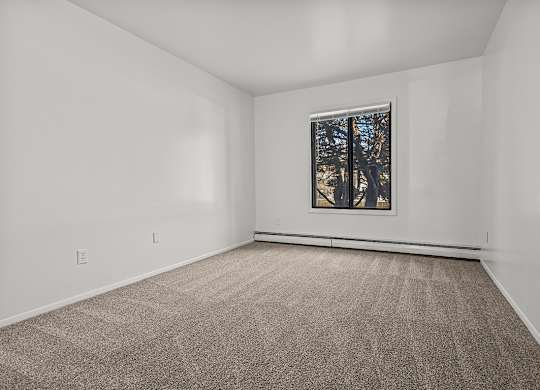 A spacious bedroom with a carpeted floor and a window showing trees outside at Wood Creek Apartments, Wisconsin