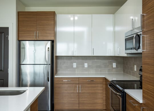 Modern Kitchen