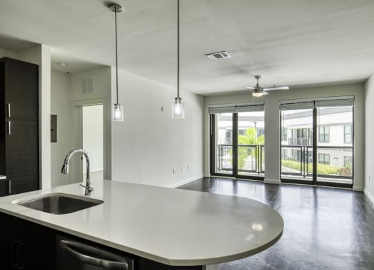 Modern Kitchen