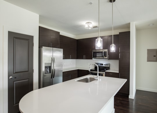 Modern Kitchen
