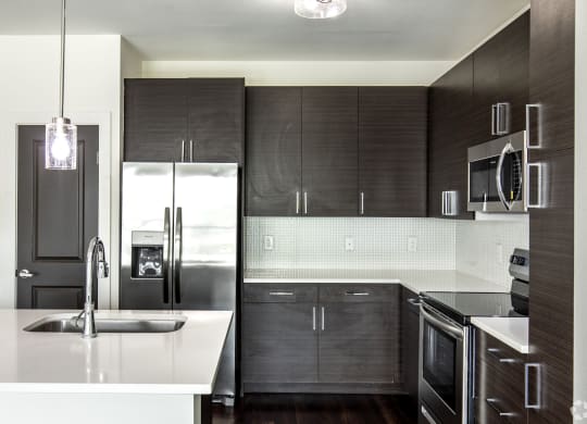 Modern Kitchen